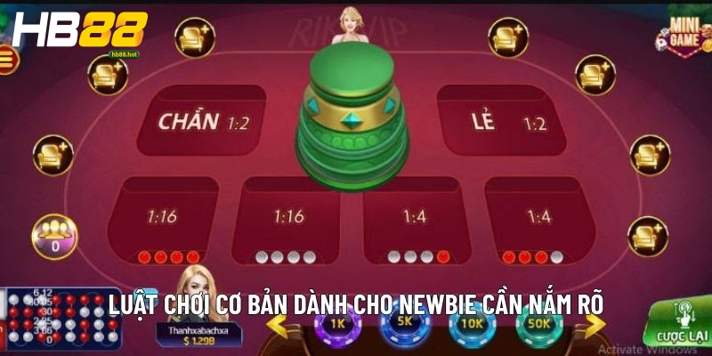 Luật chơi cơ bản dành newbie cần nắm rõ 